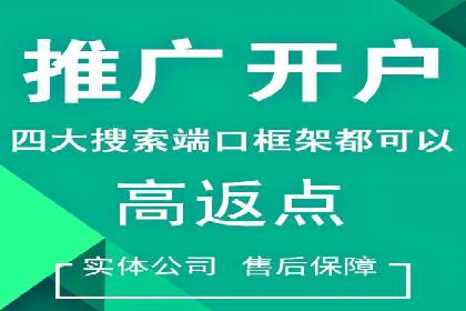 谷歌竞价广告的投放策略与成功案例分析